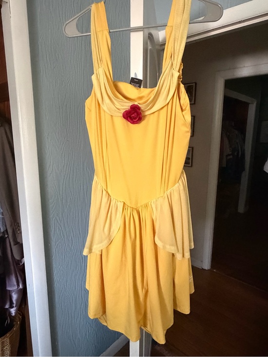 Disney Dresses & Skirts - Disney Belle Run Disney Dress